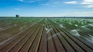 Agriculture Investment